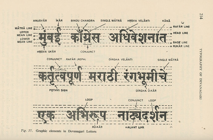 2018_deva_type_anatomy_1