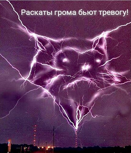 878
