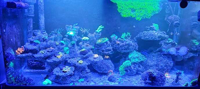 WhatsApp Image 2023-03-26 at 22.04.56