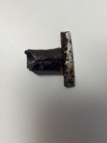 IMG_20240429_1932431