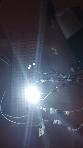 IMG_20260318_084748