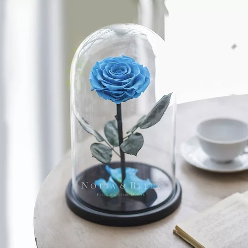 голубая роза