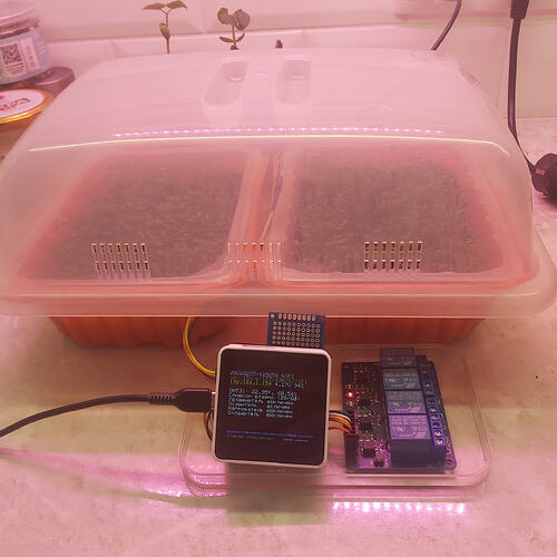 17721859302043745727621423535139