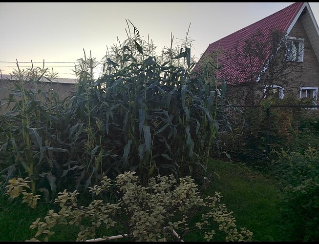 Screenshot_20250815_223923