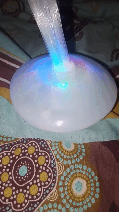 VID_20241223_181159