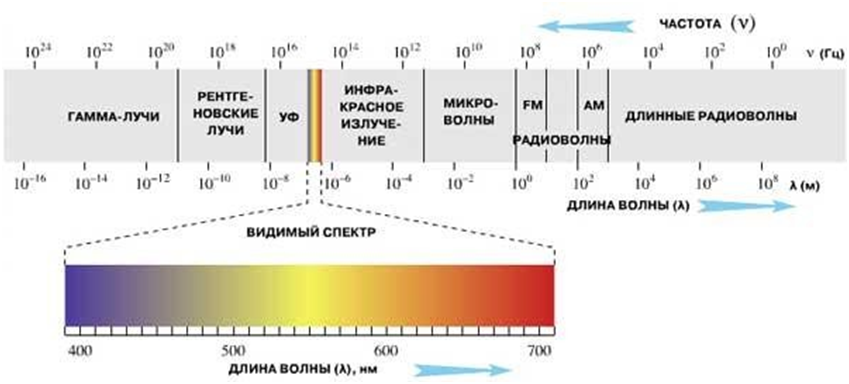 Электромагнитный спектр излучения от радиоволн до гамма диапазона. Спектр частот электромагнитного излучения. Спектр электромагнитного излучения спектр видимого света. Диапазон волн и частот гамма излучения. Видимое частота ггц