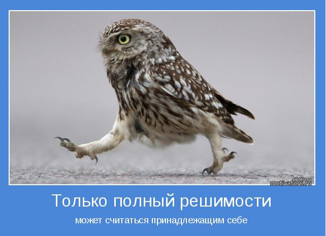 Screenshot_370 - копия